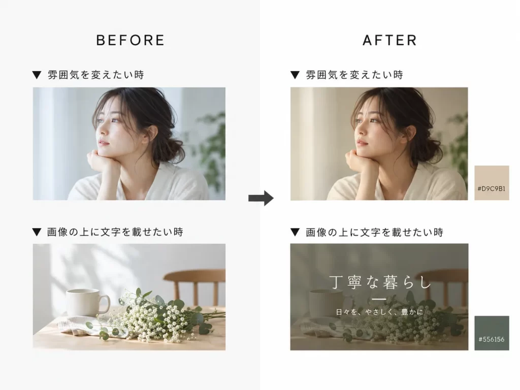 画像のアクセントを加えた画像